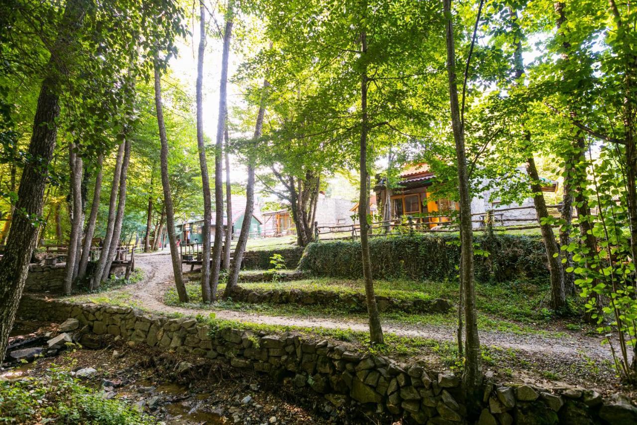 Hotel Hindiba Doga Evi Mengen Exterior foto
